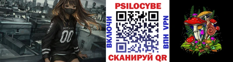 Псилоцибиновые грибы мицелий дарк нет состав Нижнеудинск